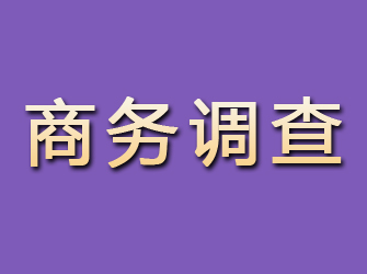 融水商务调查